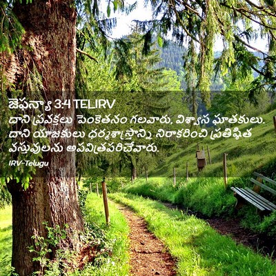 Picture 02 - జెఫన్యా 3:4 TELIRV - దాని ప్రవక్తలు - Bible Verse Picture