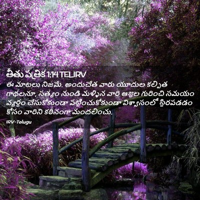 Picture 02 - తీతు పత్రిక 1:14 TELIRV - ఈ మాటలు నిజమే. - Bible Verse Picture