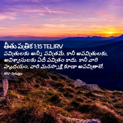 Picture 02 - తీతు పత్రిక 1:15 TELIRV - పవిత్రులకు అన్నీ - Bible Verse Picture
