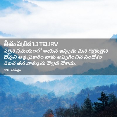 Picture 02 - తీతు పత్రిక 1:3 TELIRV - సరైన సమయంలో ఆయన - Bible Verse Picture
