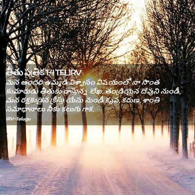 Picture 02 - తీతు పత్రిక 1:4 TELIRV - మన అందరి ఉమ్మడి - Bible Verse Picture