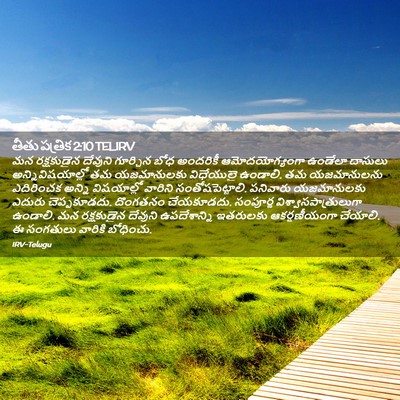 Picture 02 - తీతు పత్రిక 2:10 TELIRV - మన రక్షకుడైన - Bible Verse Picture