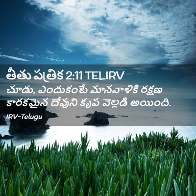 Picture 02 - తీతు పత్రిక 2:11 TELIRV - చూడు, ఎందుకంటే - Bible Verse Picture