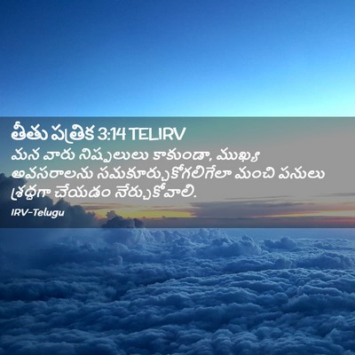 Picture 02 - తీతు పత్రిక 3:14 TELIRV - మన వారు నిష్ఫలులు - Bible Verse Picture