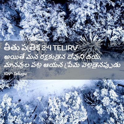 Picture 02 - తీతు పత్రిక 3:4 TELIRV - అయితే మన - Bible Verse Picture