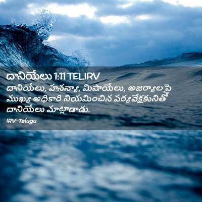 Picture 02 - దానియేలు 1:11 TELIRV - దానియేలు, హనన్యా, - Bible Verse Picture