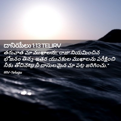 Picture 02 - దానియేలు 1:13 TELIRV - తరువాత మా ముఖాలను, - Bible Verse Picture
