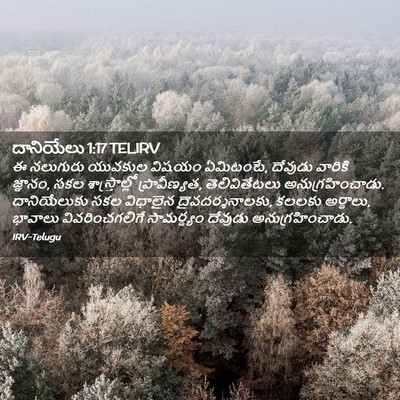Picture 02 - దానియేలు 1:17 TELIRV - ఈ నలుగురు యువకుల - Bible Verse Picture