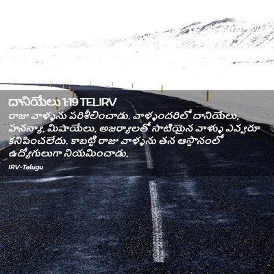 Picture 02 - దానియేలు 1:19 TELIRV - రాజు వాళ్ళను - Bible Verse Picture