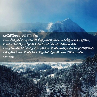 Picture 02 - దానియేలు 1:20 TELIRV - రాజు వీళ్ళతో - Bible Verse Picture