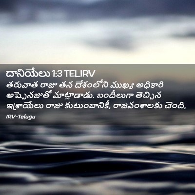 Picture 02 - దానియేలు 1:3 TELIRV - తరువాత రాజు తన - Bible Verse Picture
