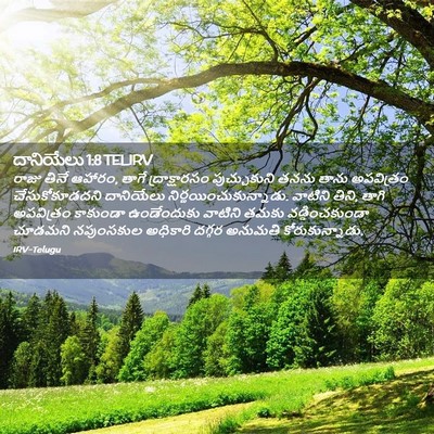 Picture 02 - దానియేలు 1:8 TELIRV - రాజు తినే ఆహారం, - Bible Verse Picture