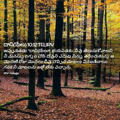Picture 02 - దానియేలు 10:12 TELIRV - అప్పుడతడు - Bible Verse Picture
