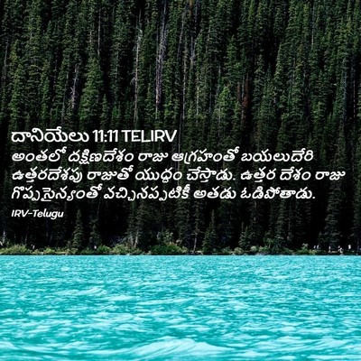 Picture 02 - దానియేలు 11:11 TELIRV - అంతలో దక్షిణదేశం - Bible Verse Picture