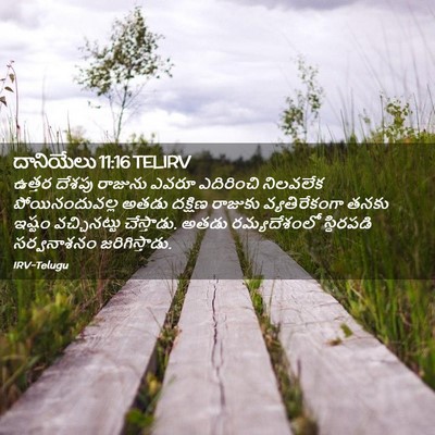 Picture 02 - దానియేలు 11:16 TELIRV - ఉత్తర దేశపు - Bible Verse Picture
