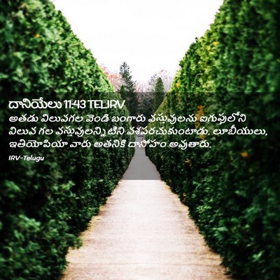 Picture 02 - దానియేలు 11:43 TELIRV - అతడు విలువగల - Bible Verse Picture
