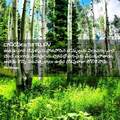 Picture 02 - దానియేలు 11:8 TELIRV - అతడు వారి - Bible Verse Picture