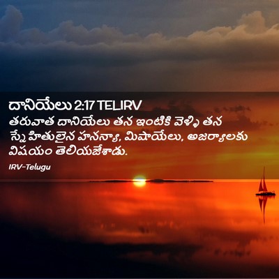 Picture 02 - దానియేలు 2:17 TELIRV - తరువాత దానియేలు - Bible Verse Picture