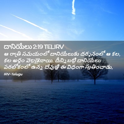 Picture 02 - దానియేలు 2:19 TELIRV - ఆ రాత్రి సమయంలో - Bible Verse Picture