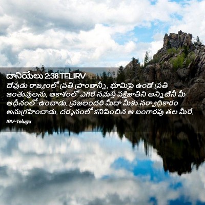 Picture 02 - దానియేలు 2:38 TELIRV - దేవుడు రాజ్యంలో - Bible Verse Picture
