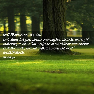 Picture 02 - దానియేలు 2:49 TELIRV - దానియేలు విన్నపం - Bible Verse Picture