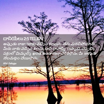 Picture 02 - దానియేలు 2:5 TELIRV - అప్పుడు రాజు - Bible Verse Picture