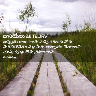 Picture 02 - దానియేలు 2:8 TELIRV - అప్పుడు రాజు - Bible Verse Picture