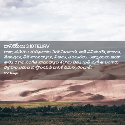 Picture 02 - దానియేలు 3:10 TELIRV - రాజా, తమరు ఒక - Bible Verse Picture
