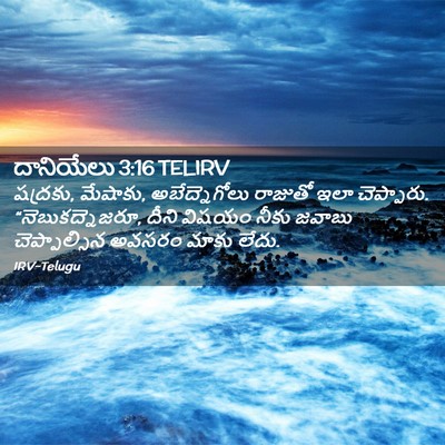 Picture 02 - దానియేలు 3:16 TELIRV - షద్రకు, మేషాకు, - Bible Verse Picture