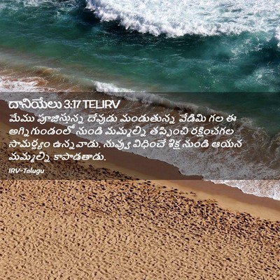 Picture 02 - దానియేలు 3:17 TELIRV - మేము పూజిస్తున్న - Bible Verse Picture