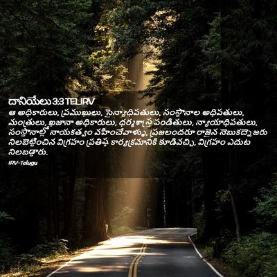 Picture 02 - దానియేలు 3:3 TELIRV - ఆ అధికారులు, - Bible Verse Picture