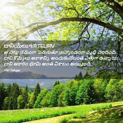 Picture 02 - దానియేలు 4:11 TELIRV - ఆ చెట్టు క్రమంగా - Bible Verse Picture