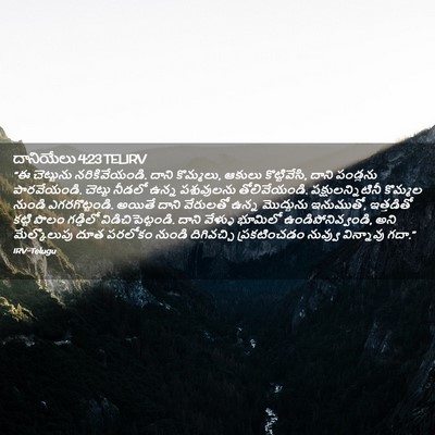 Picture 02 - దానియేలు 4:23 TELIRV - “ఈ చెట్టును - Bible Verse Picture