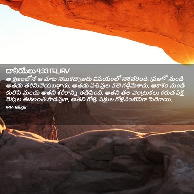 Picture 02 - దానియేలు 4:33 TELIRV - ఆ క్షణంలోనే ఆ మాట - Bible Verse Picture