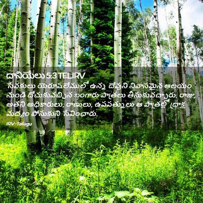 Picture 02 - దానియేలు 5:3 TELIRV - సేవకులు - Bible Verse Picture