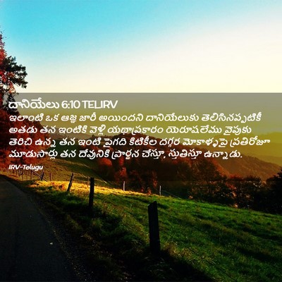 Picture 02 - దానియేలు 6:10 TELIRV - ఇలాంటి ఒక ఆజ్ఞ - Bible Verse Picture