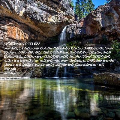 Picture 02 - దానియేలు 6:12 TELIRV - రాజు సన్నిధికి - Bible Verse Picture