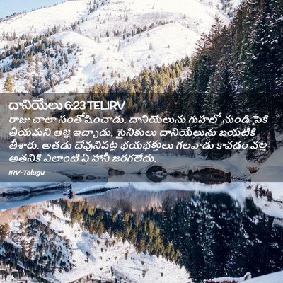 Picture 02 - దానియేలు 6:23 TELIRV - రాజు చాలా - Bible Verse Picture
