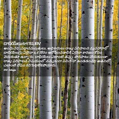 Picture 02 - దానియేలు 6:4 TELIRV - అందువల్ల - Bible Verse Picture