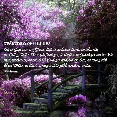 Picture 02 - దానియేలు 7:14 TELIRV - సకల ప్రజలు, - Bible Verse Picture