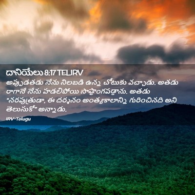 Picture 02 - దానియేలు 8:17 TELIRV - అప్పుడతడు నేను - Bible Verse Picture