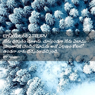 Picture 02 - దానియేలు 8:2 TELIRV - నేను దర్శనం - Bible Verse Picture