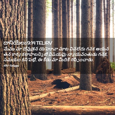Picture 02 - దానియేలు 9:14 TELIRV - మేము మా దేవుడైన - Bible Verse Picture