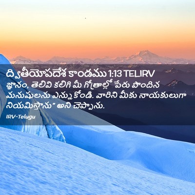 Picture 02 - ద్వితీయోపదేశ కాండము 1:13 TELIRV - జ్ఞానం, తెలివి - Bible Verse Picture