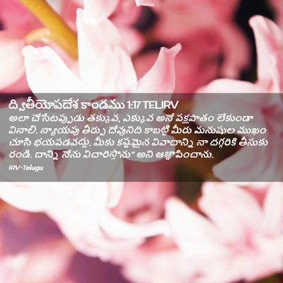 Picture 02 - ద్వితీయోపదేశ కాండము 1:17 TELIRV - అలా చేసేటప్పుడు - Bible Verse Picture