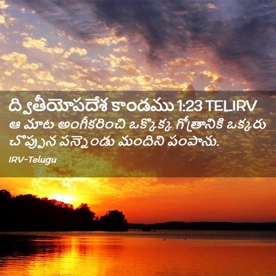 Picture 02 - ద్వితీయోపదేశ కాండము 1:23 TELIRV - ఆ మాట అంగీకరించి - Bible Verse Picture