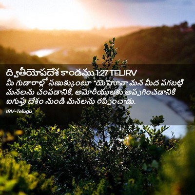 Picture 02 - ద్వితీయోపదేశ కాండము 1:27 TELIRV - మీ గుడారాల్లో - Bible Verse Picture