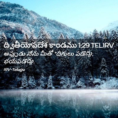 Picture 02 - ద్వితీయోపదేశ కాండము 1:29 TELIRV - అప్పుడు నేను మీతో - Bible Verse Picture