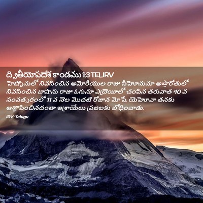 Picture 02 - ద్వితీయోపదేశ కాండము 1:3 TELIRV - హెష్బోనులో - Bible Verse Picture