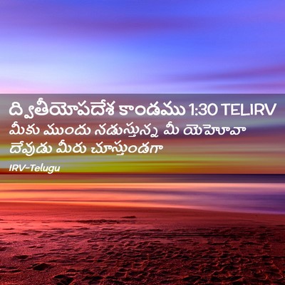 Picture 02 - ద్వితీయోపదేశ కాండము 1:30 TELIRV - మీకు ముందు - Bible Verse Picture